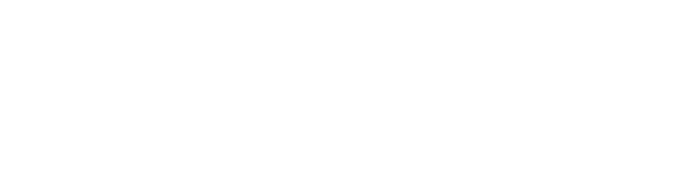 NSN Law Firm logo