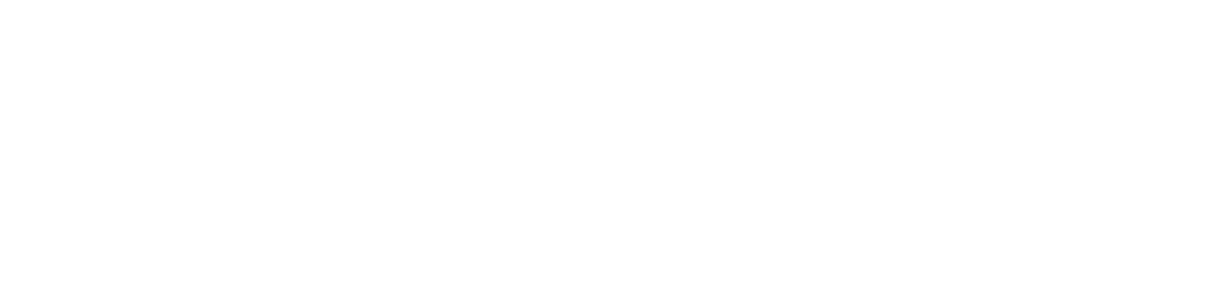 NTT Data logo