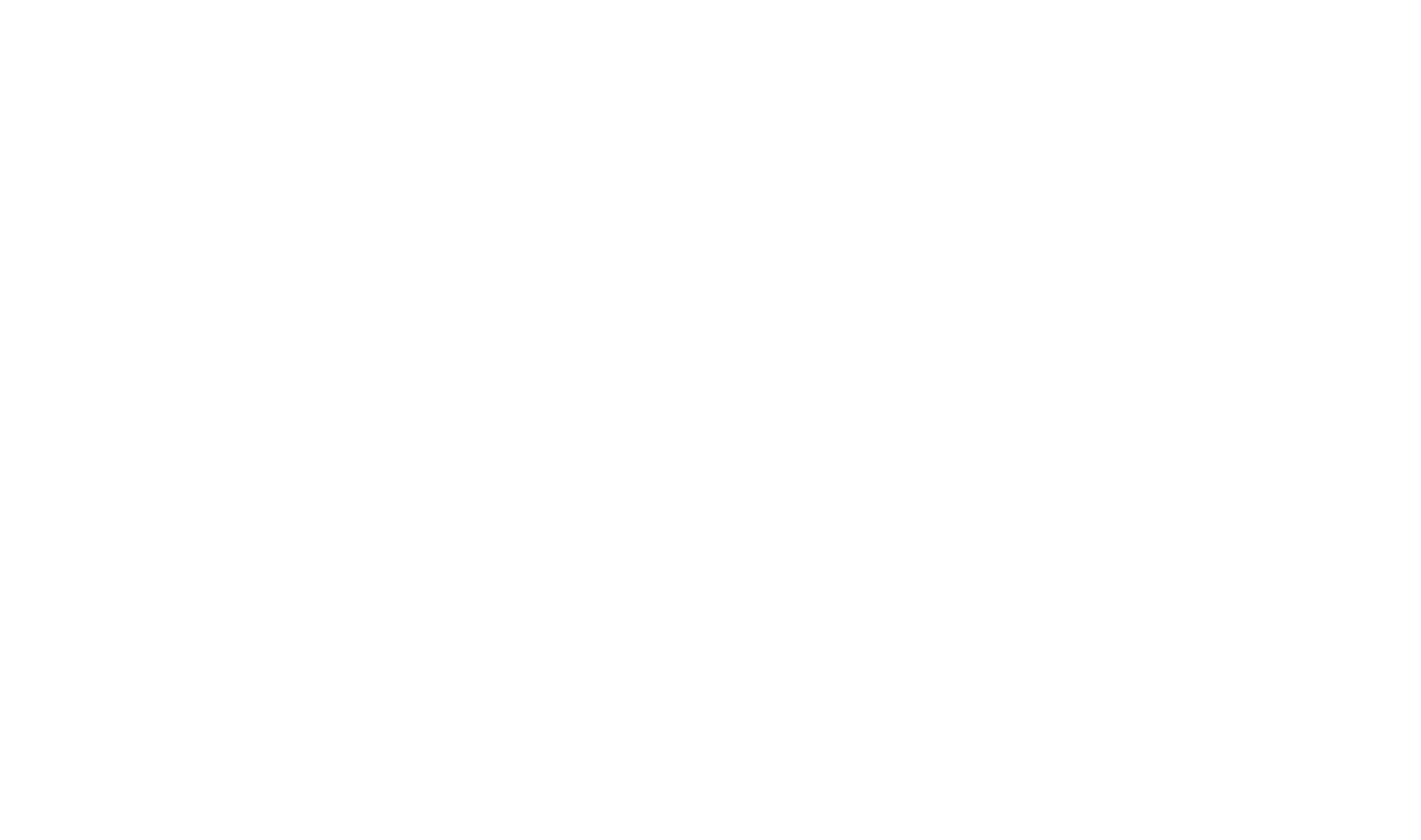 STS Bilişim logo